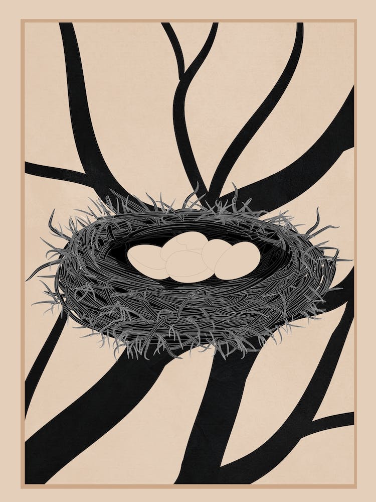 Birds Nest 1