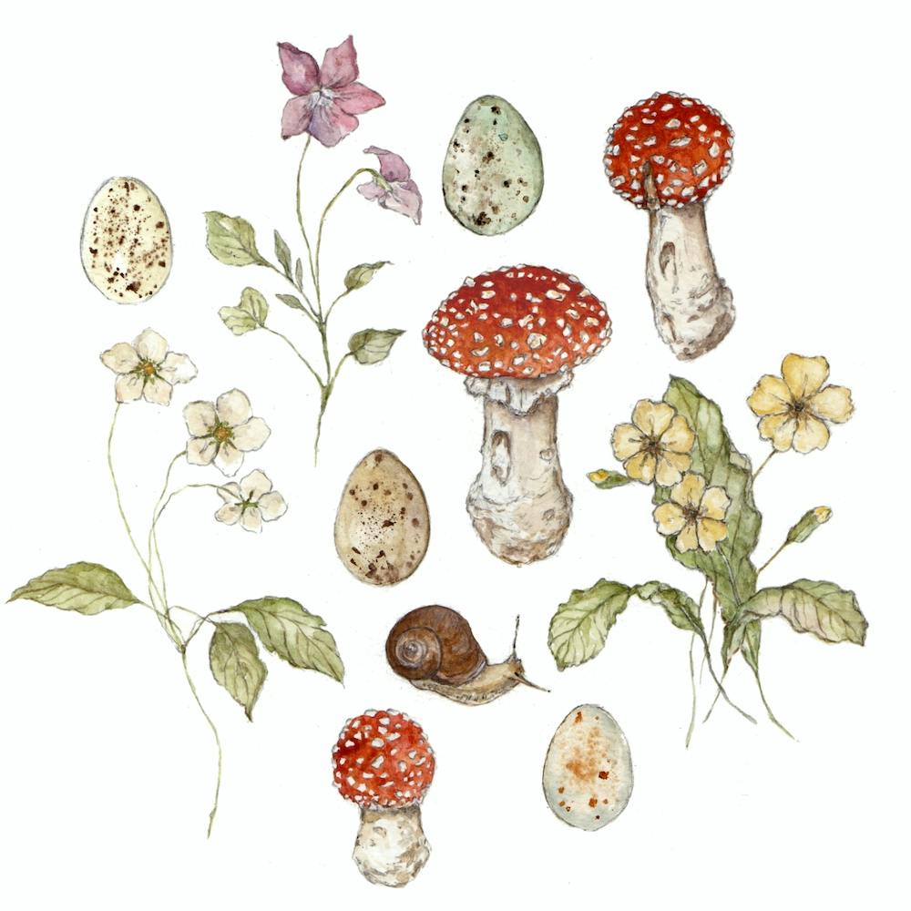 Summer Meadow Collection