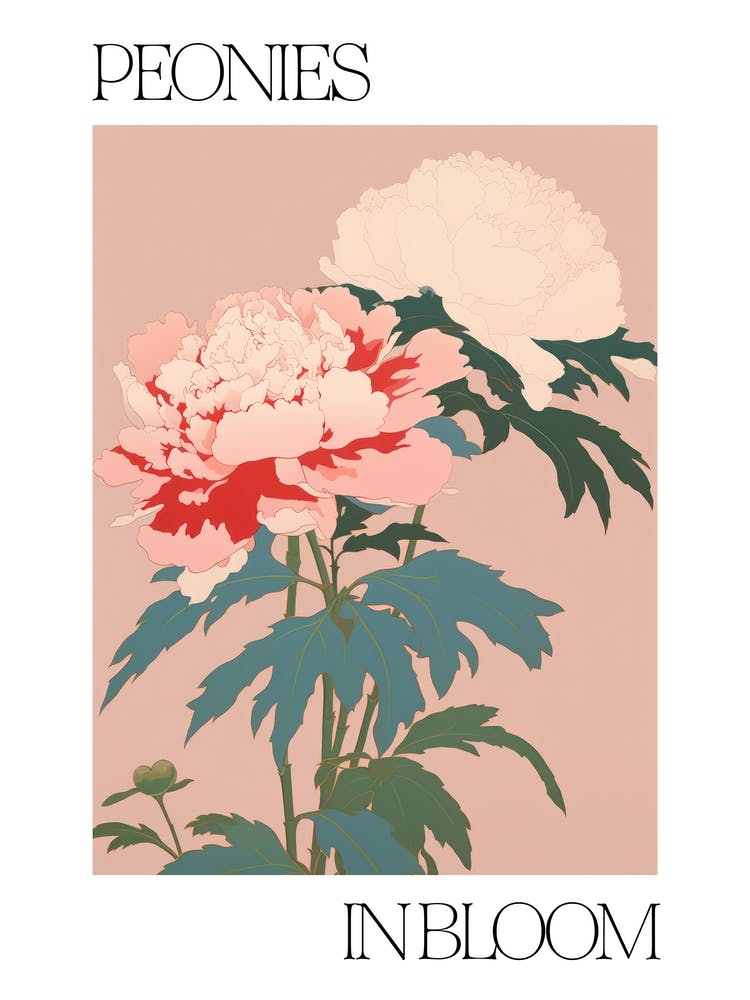 Peonies In Bloom Flowers Bold Illustration 2