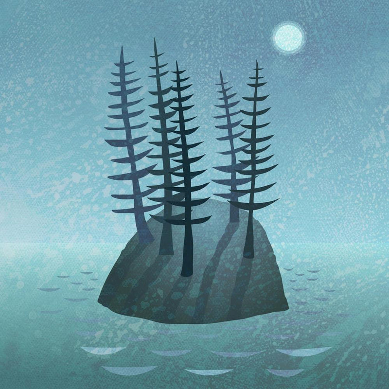 Island Of Pines in Moonlight