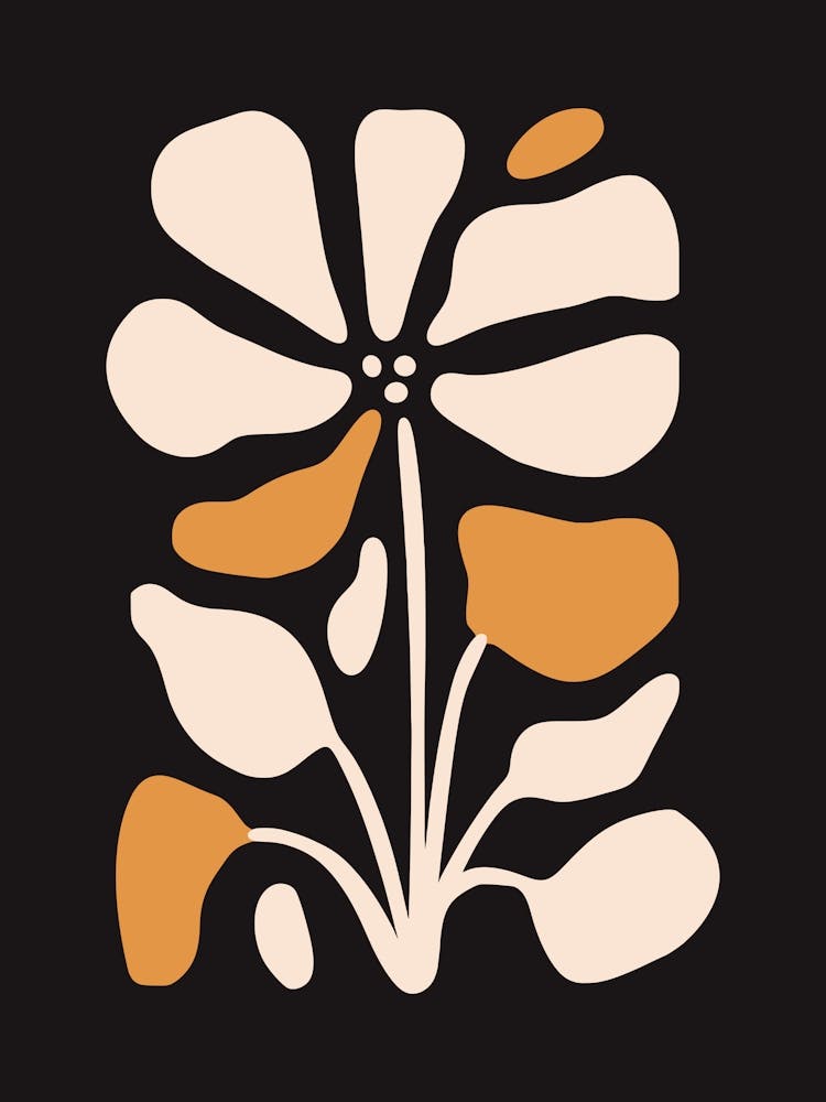 Flower On A Black Background