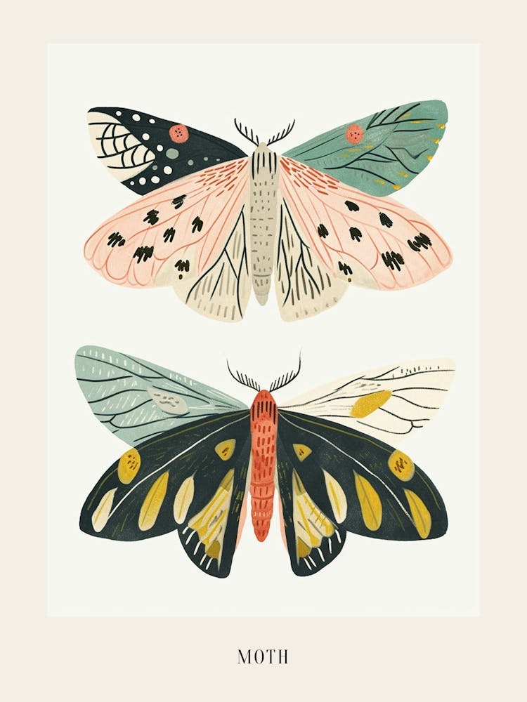 Colourful Insect Illustration Moth 38 Poster