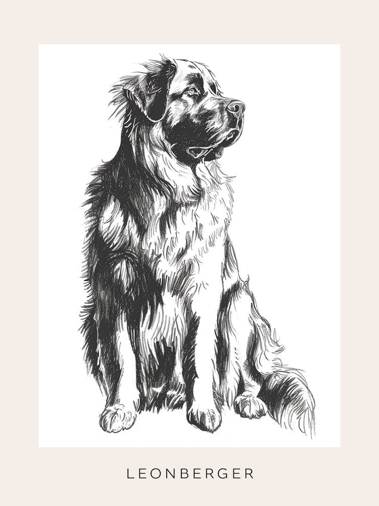 Leonberger Dog Line Sketch 2 Poster