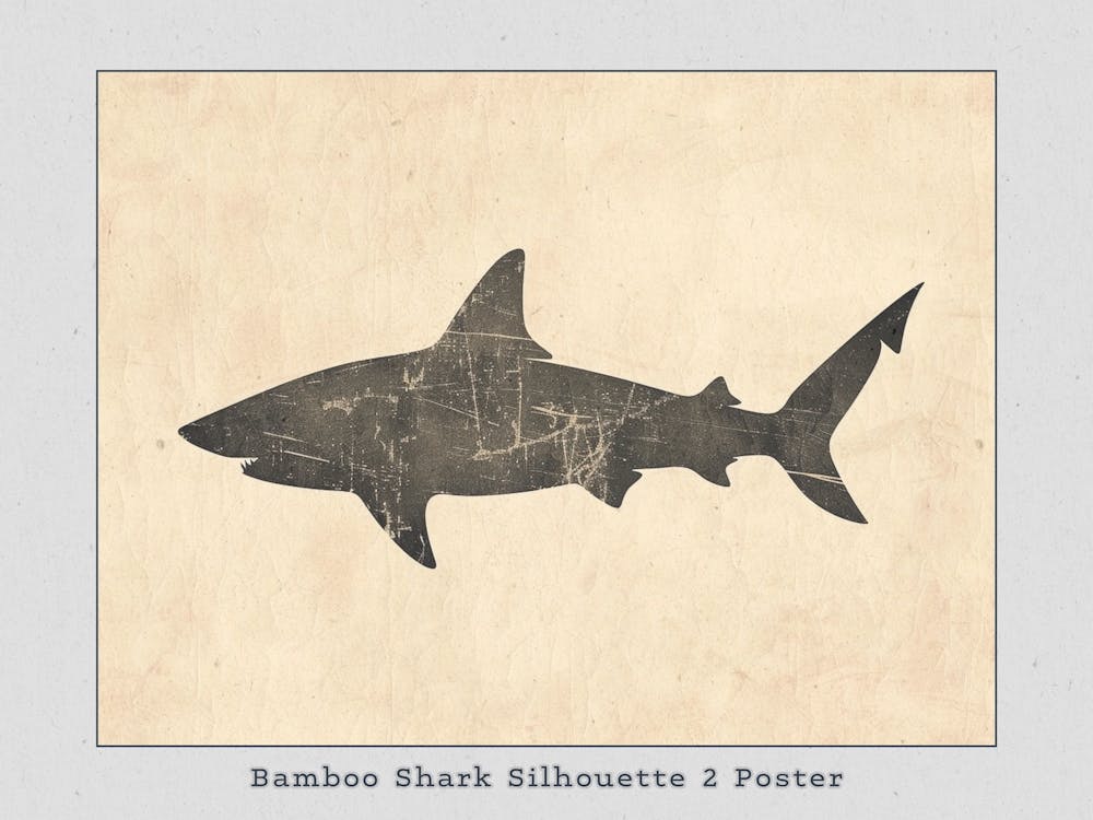 Bamboo Shark Silhouette 3 Poster