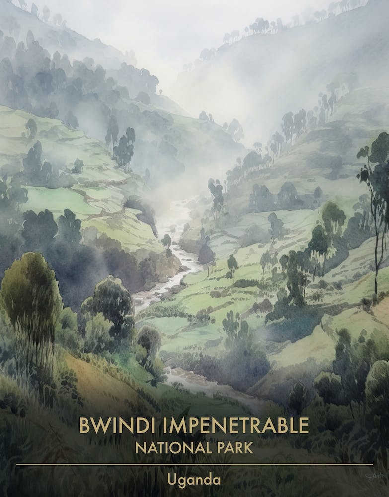 Bwindi Impenetrable National Park Uganda Watercolour 1
