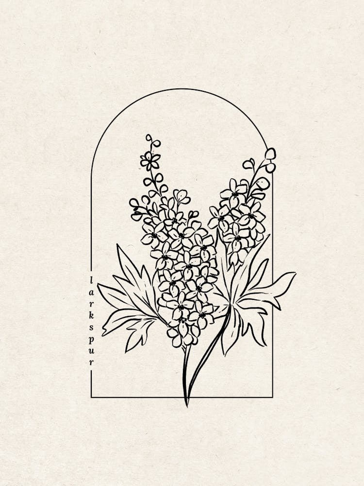 Larkspur Flower