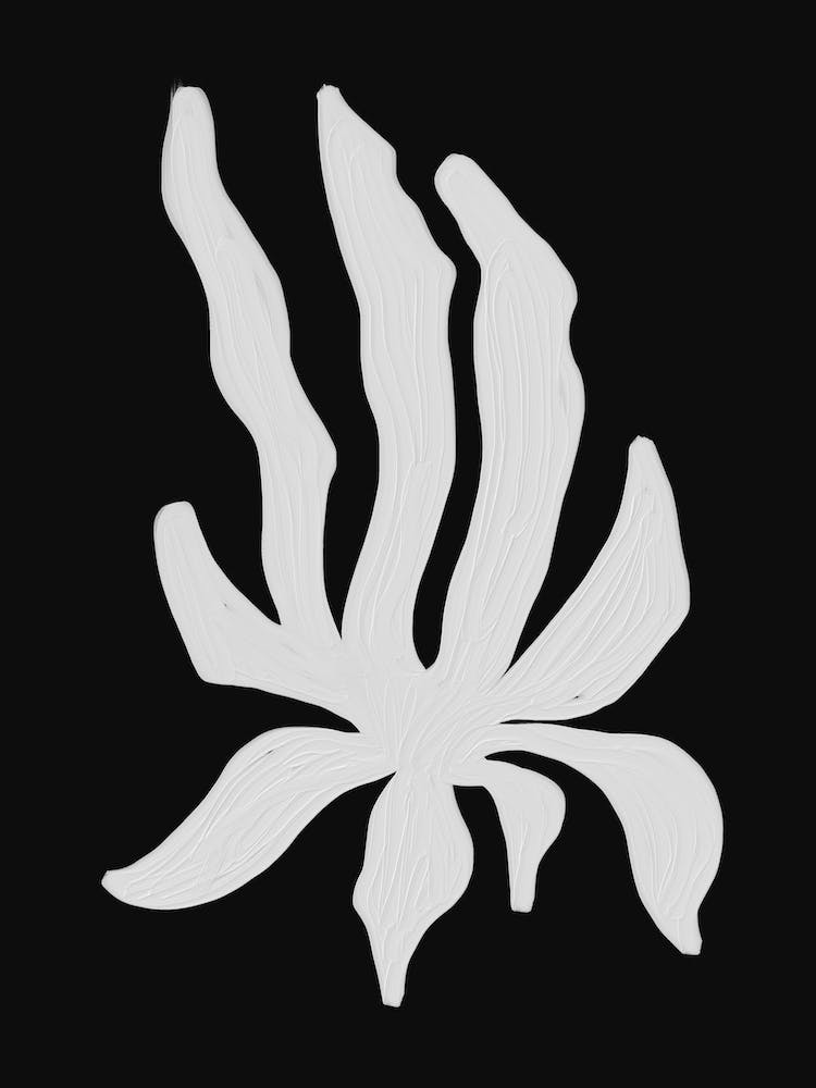 Tropical Black And White