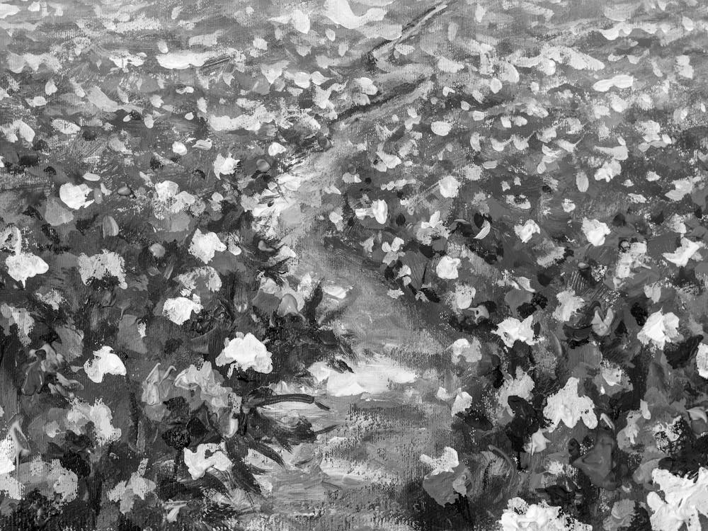 Path In The Cotton Field