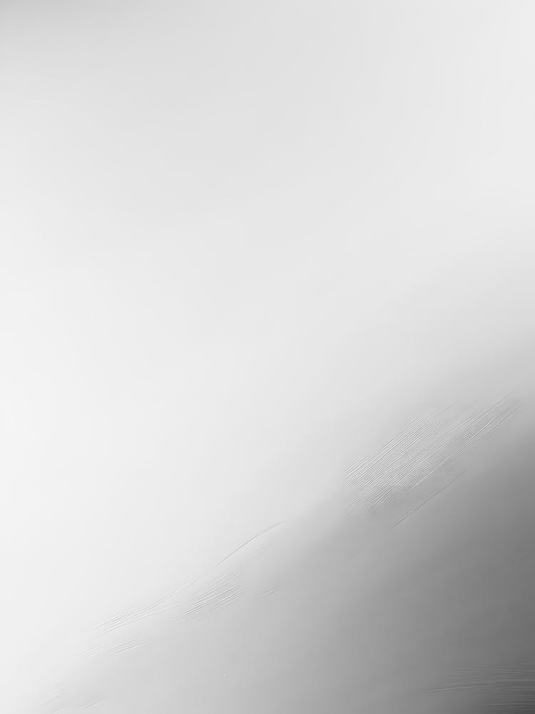 Black And White Photograph 2