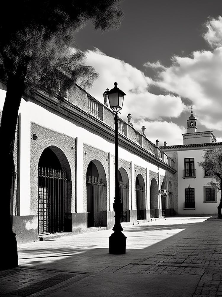 Alcala De Henares, Spain, Black And White Analogue Photography 3