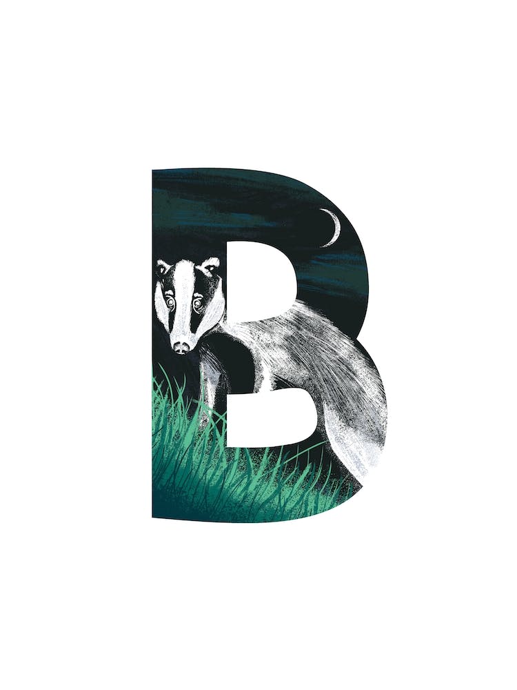 B Comme Blaireau