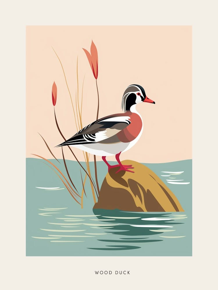 Affiche d'oiseau Canard huppé 2 minimaliste