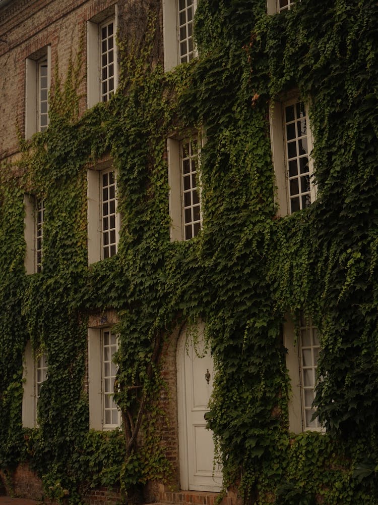 09983be9 5a63 4c15 Bb25 E741c47d6c6a