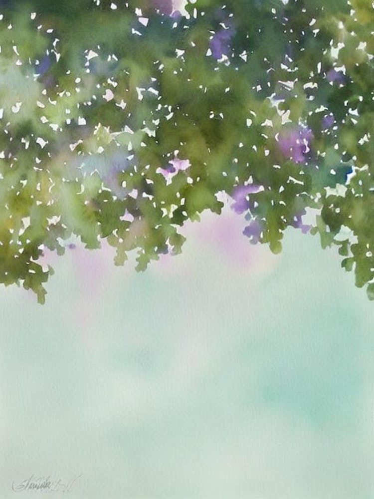 Acropora Tenuis Iiii Aquarelle Conte de Fées