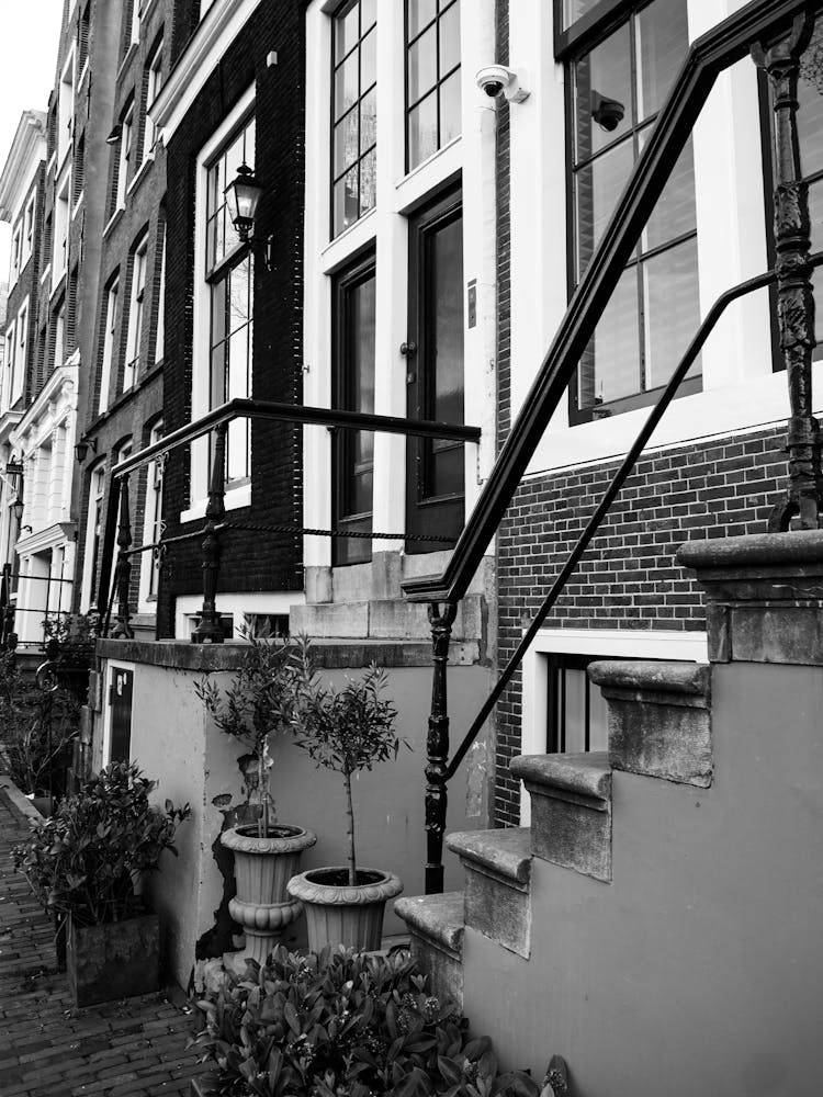 Black And White Dutch House