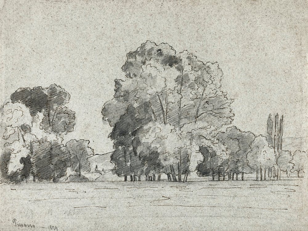Grove Of Trees (1859), Camille Pissarro
