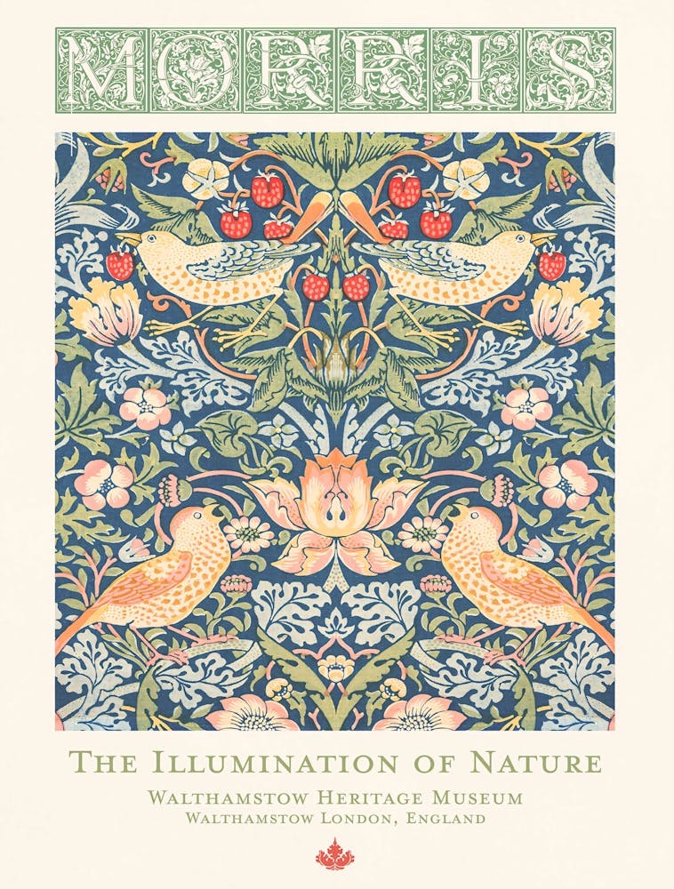 William Morris, Morris The Illumination Of Nature