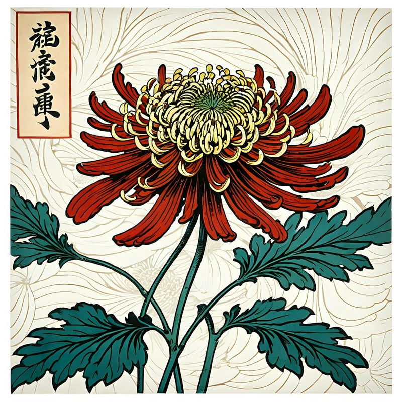 Chrysanthemum 17