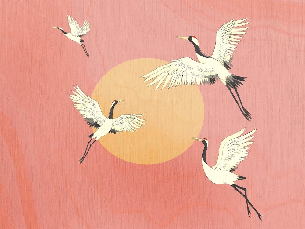 Pink Japanese flying birds across the sun