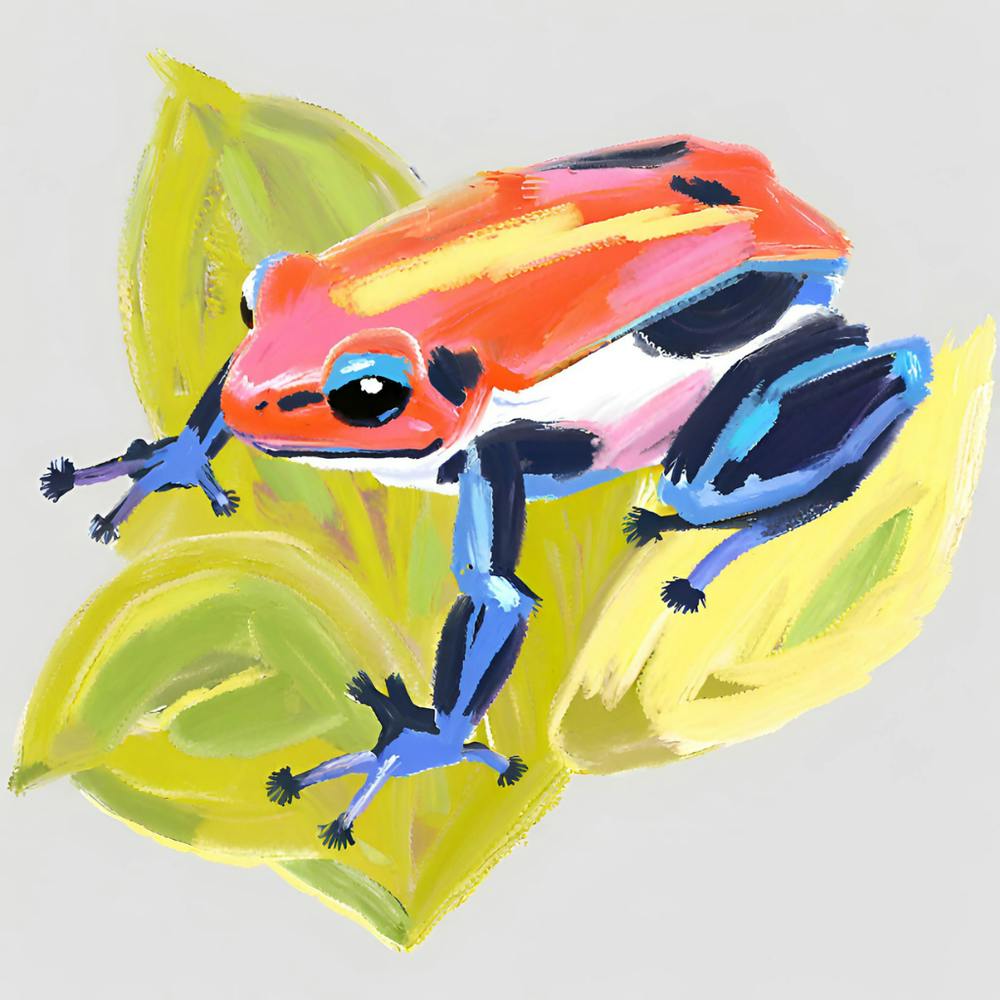 Poison Dart Frog 01