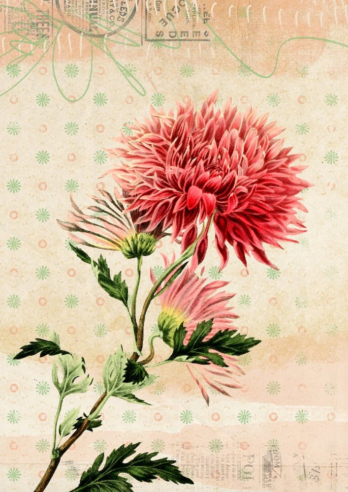 Floral Garden 2