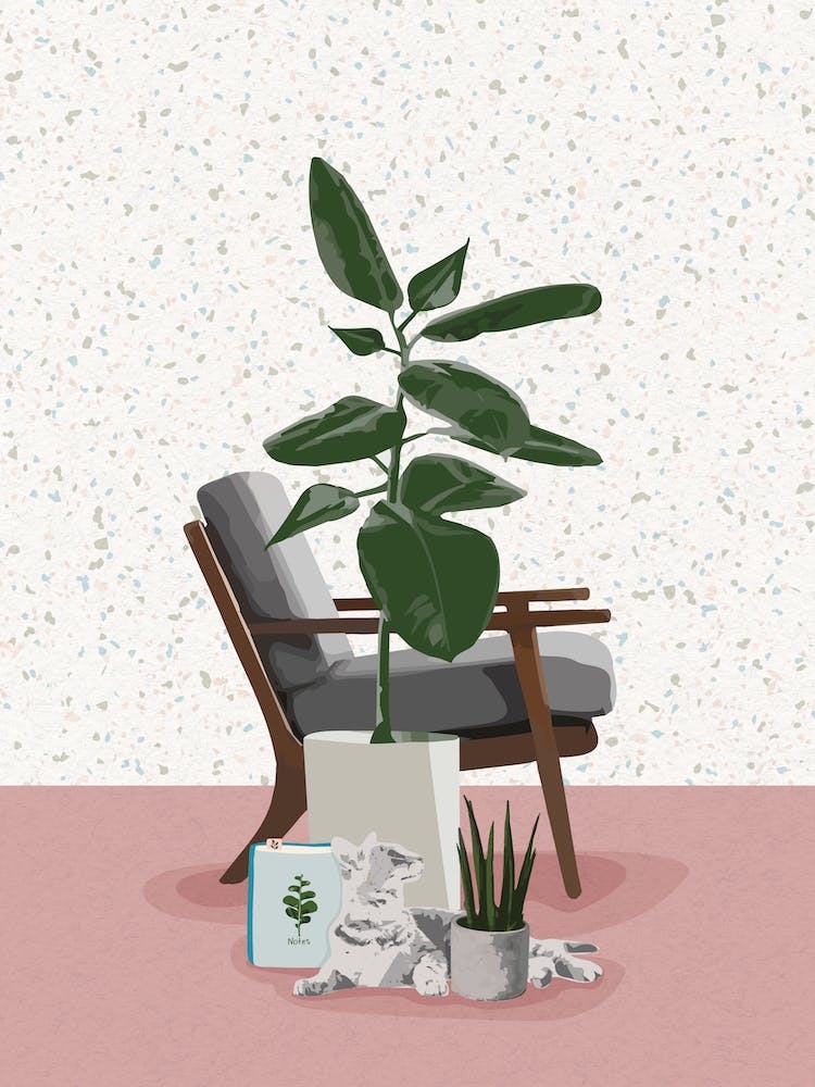 Succulent Plant 6