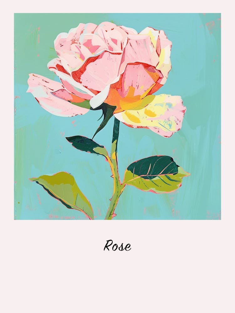 Rose 7 Square Flower Illustration Poster