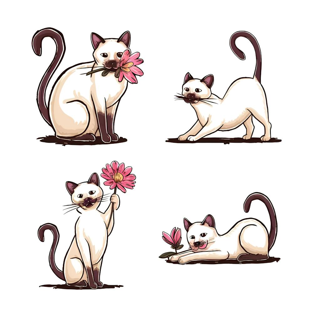 A charming and whimsical illustration of a Siamese cat in four distinct poses 1