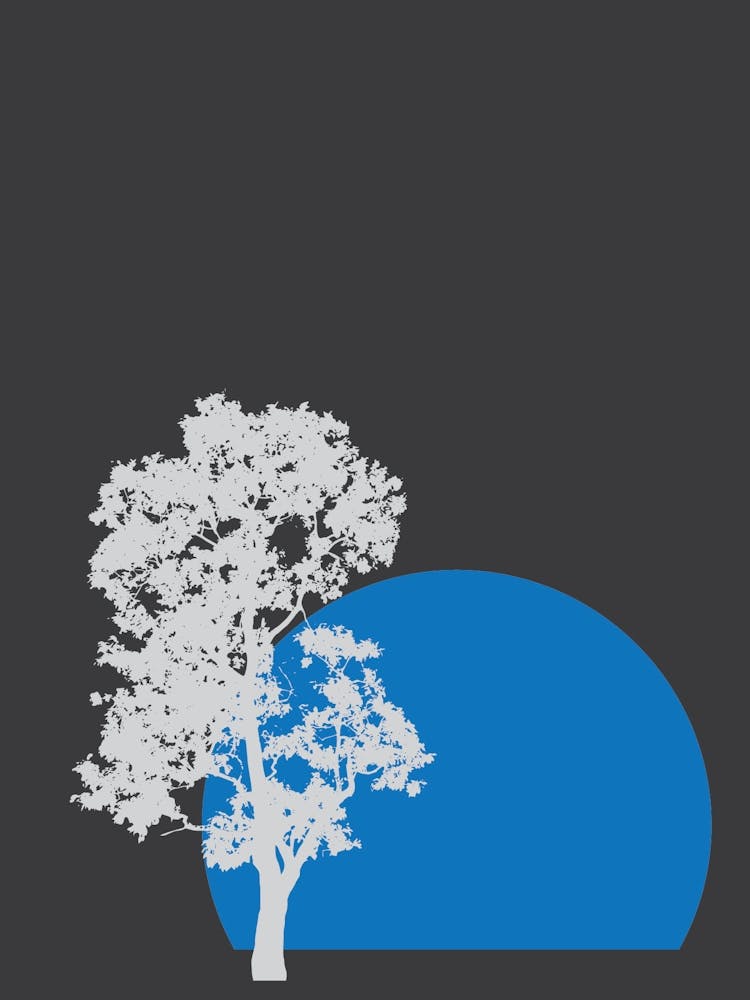 Abstract Shapes and Tree Print Black