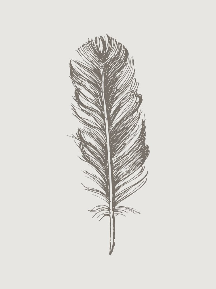 Grey Feather Print 1