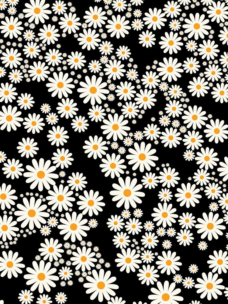 Daisy Garden | 08 – Black