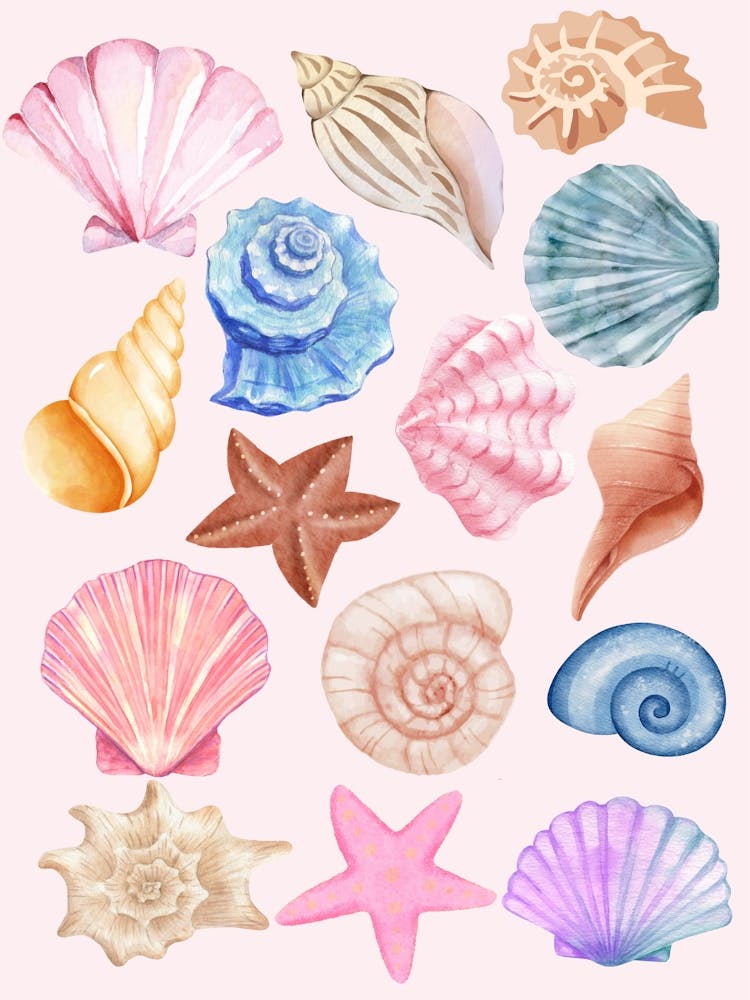 Watercolor Sea Shells
