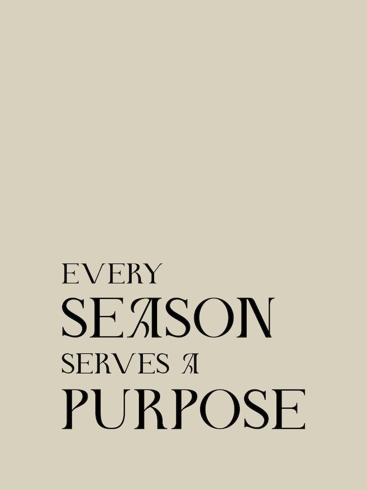 Every Season Serves A Purpose Stone