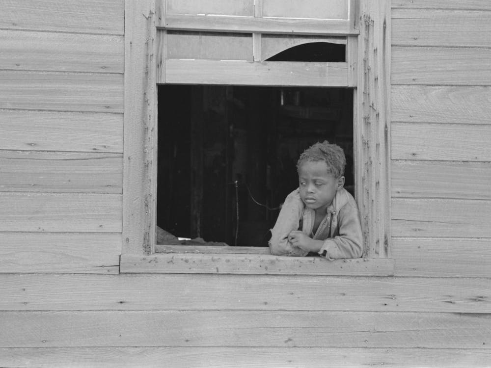 Son Of Sharecropper In Window Of Old Home, Southeast Missouri Farms By Russell Lee