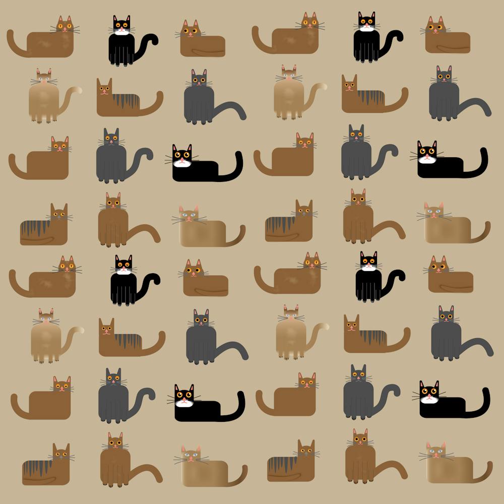 Cat Pattern Texture Animal