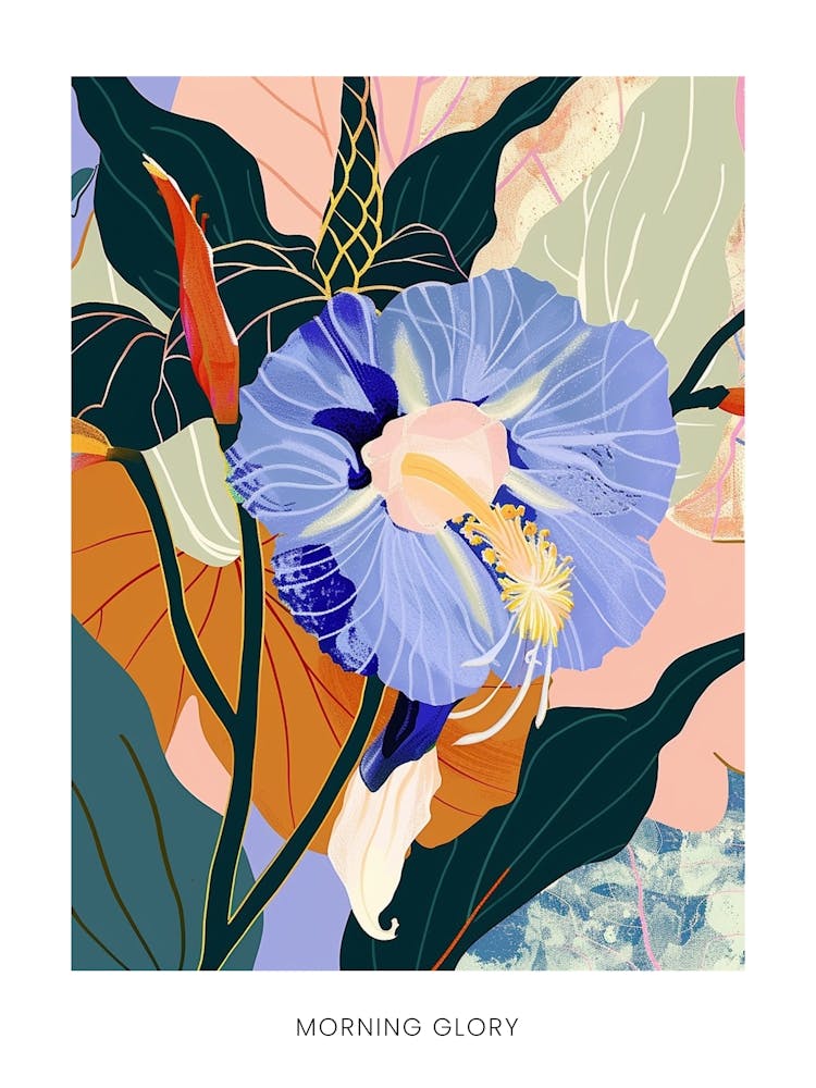 Colourful Flower Illustration Poster Morning Glory 5