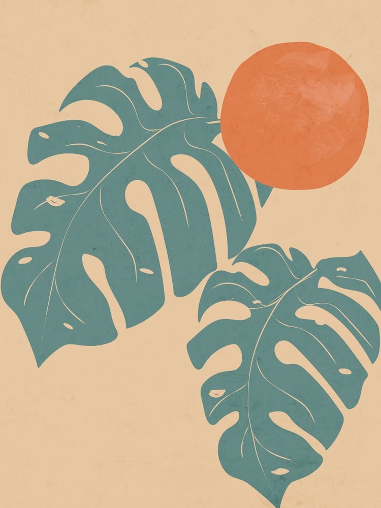 Tropical Blue Monstera