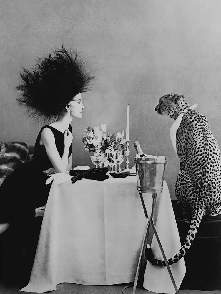 Model Having Dinner With A Cheetah