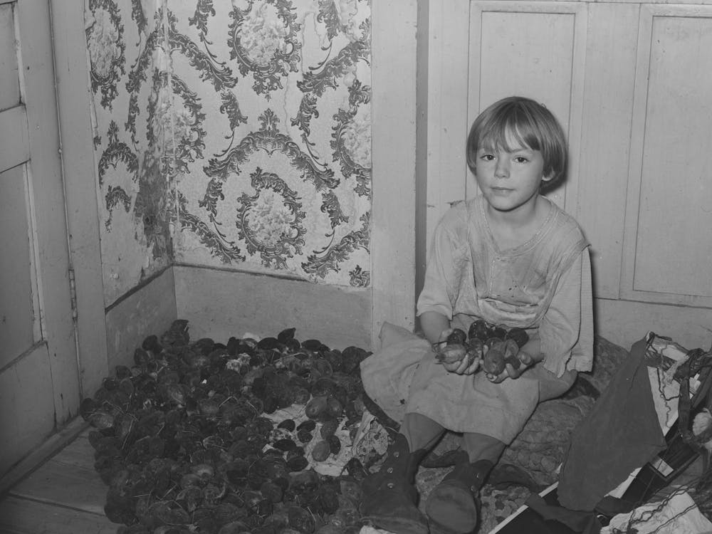 Daughter Of Fsa (Farm Security Administration) Client With Butter Nuts, Farm Near Bradford, Vermont