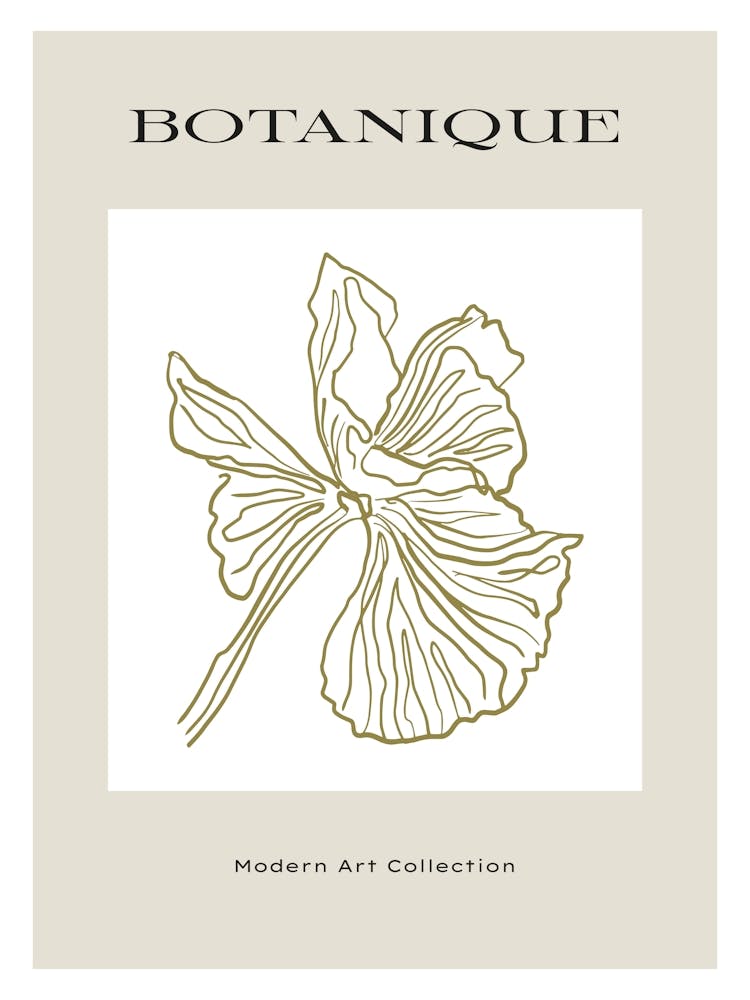 Harmonic lines no 16