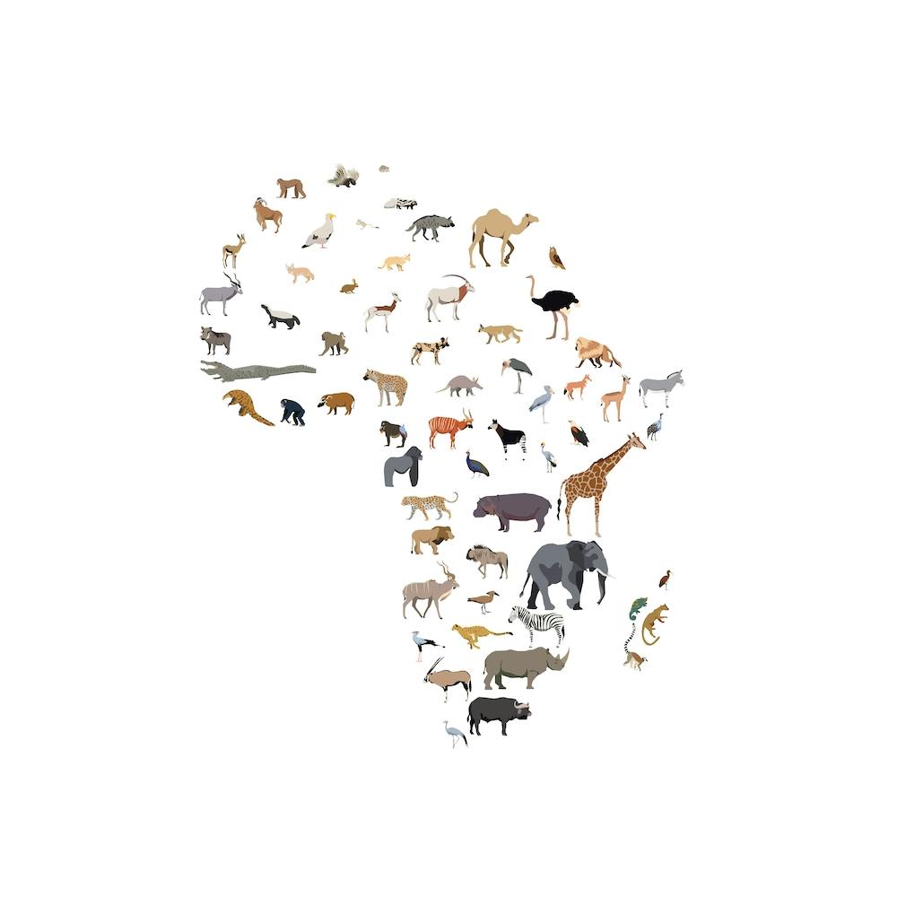 Wild Africa