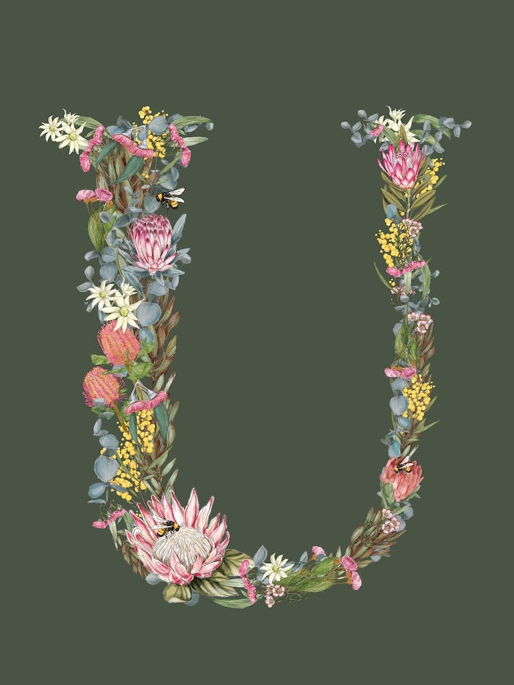 U Olive Alphabet Letter