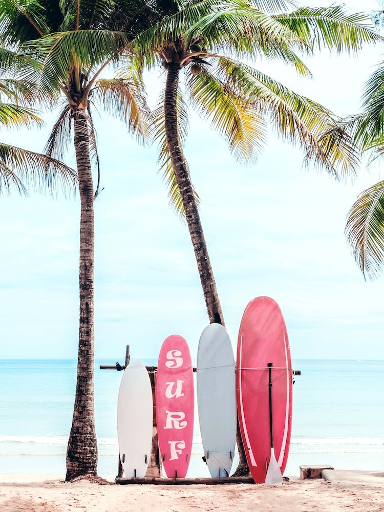 Choose Your Surfboard In Pink