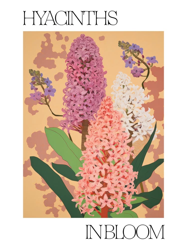 Hyacinths In Bloom Flowers Bold Illustration 4