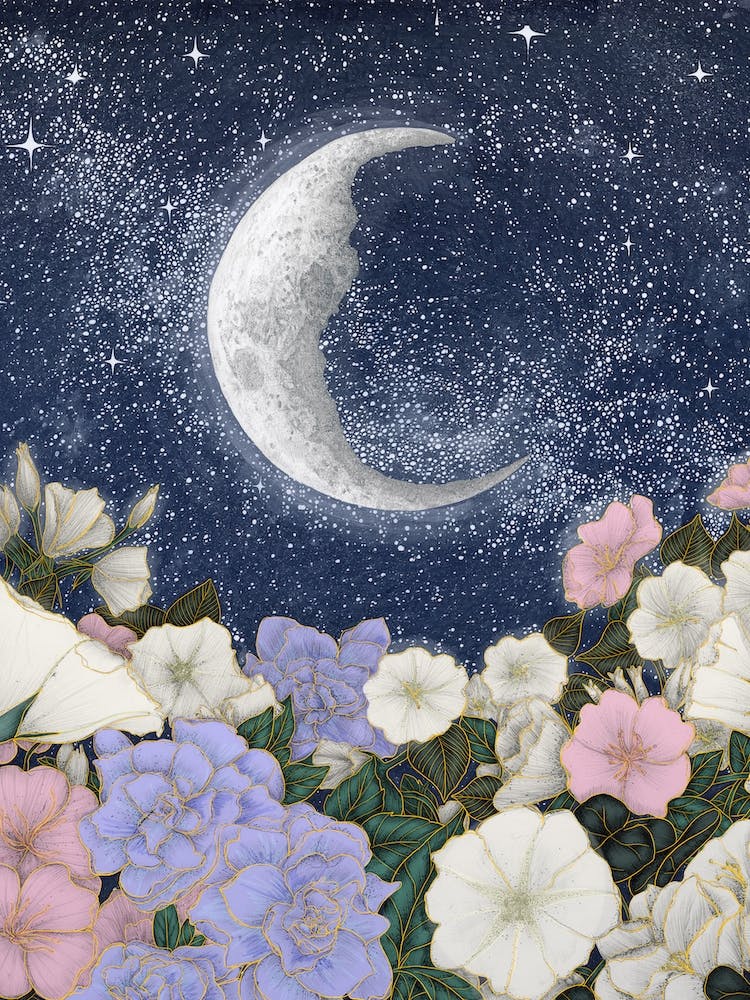 Moonlit Garden