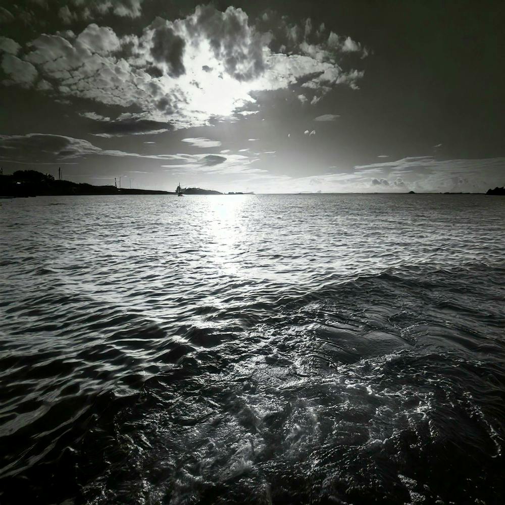 Firefly Mono Waters High Contrast Monochrome Water Scenes 1