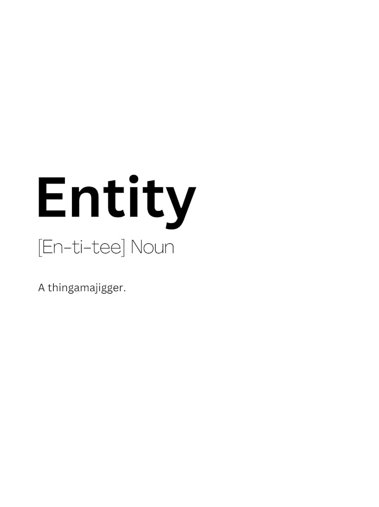 Entity Definition Meaning 1