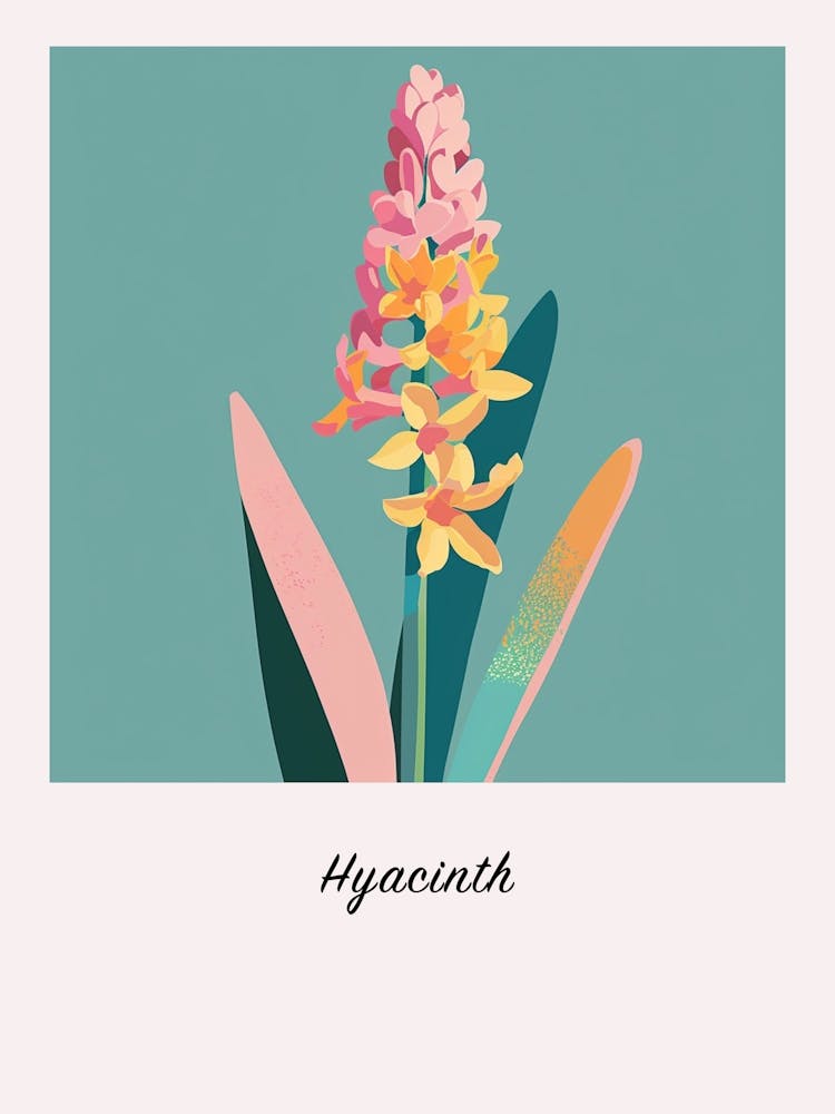 Hyacinth Square Flower Illustration Poster