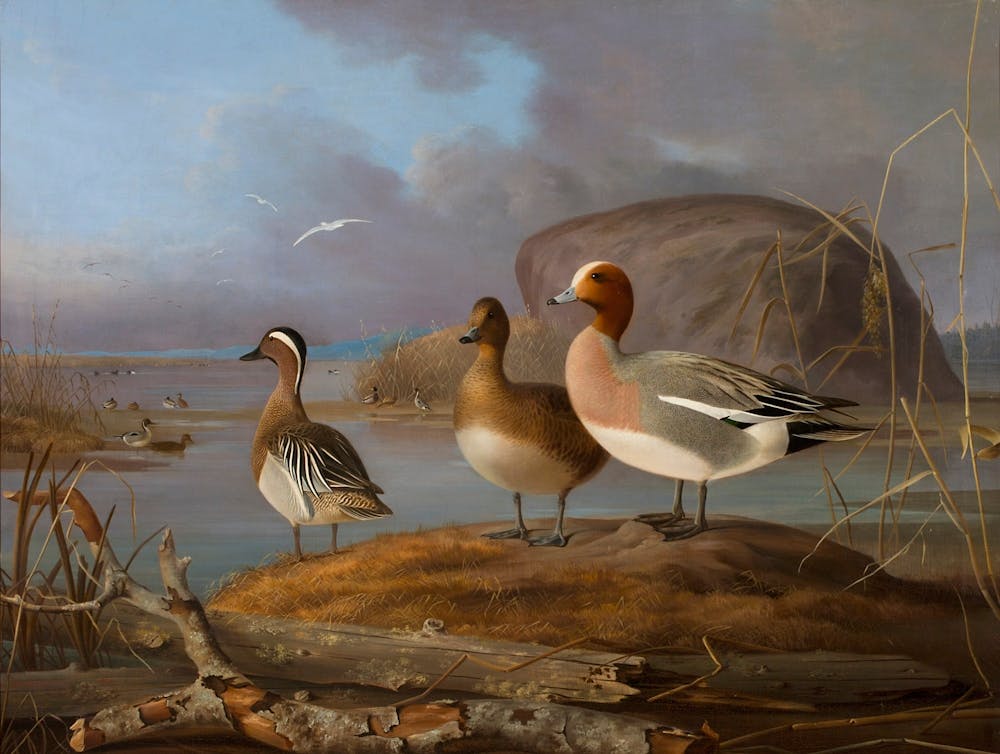 Three Geese