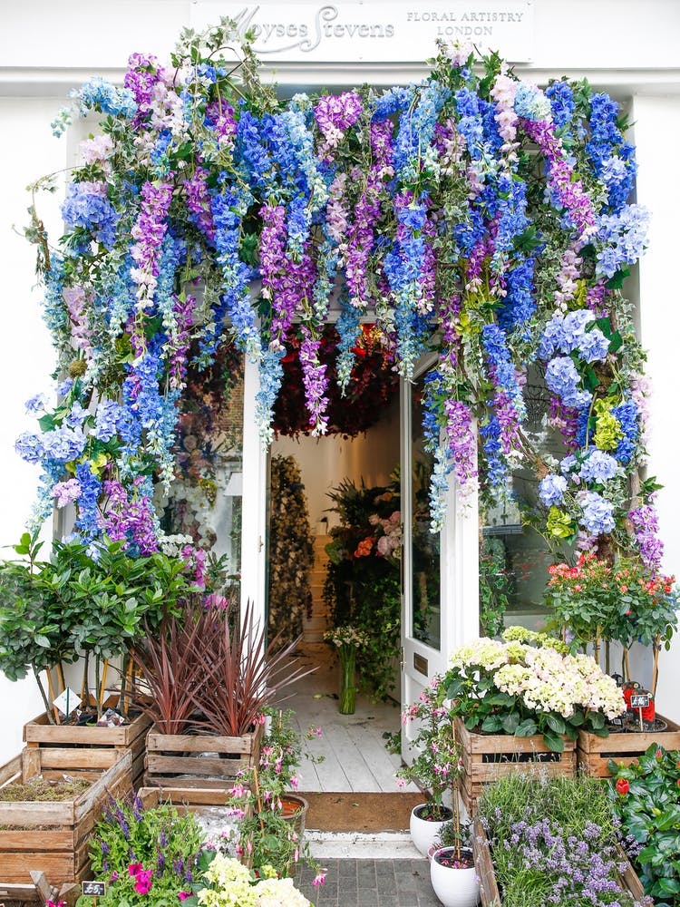 Magasin de fleurs bleu - Londres